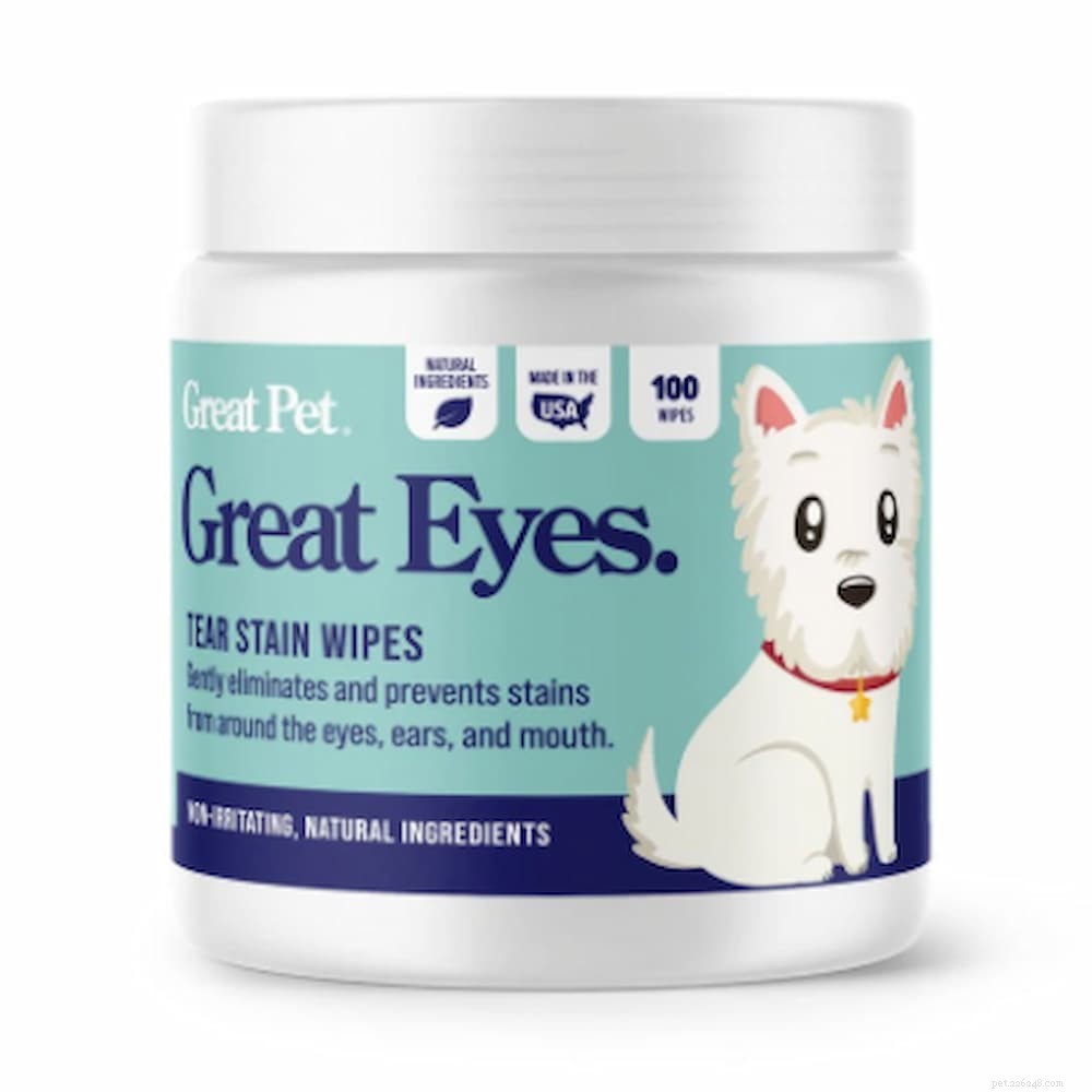 Understanding Dog Eye Discharge: Causes, Prevention, and Care