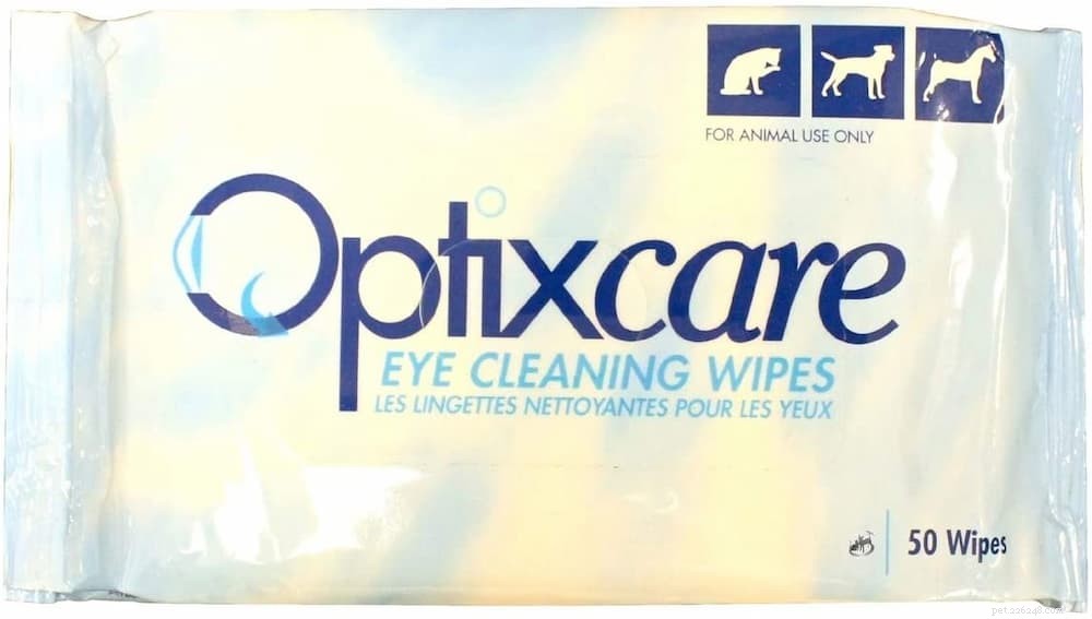 Understanding Dog Eye Discharge: Causes, Prevention, and Care