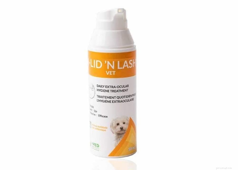 Understanding Dog Eye Discharge: Causes, Prevention, and Care