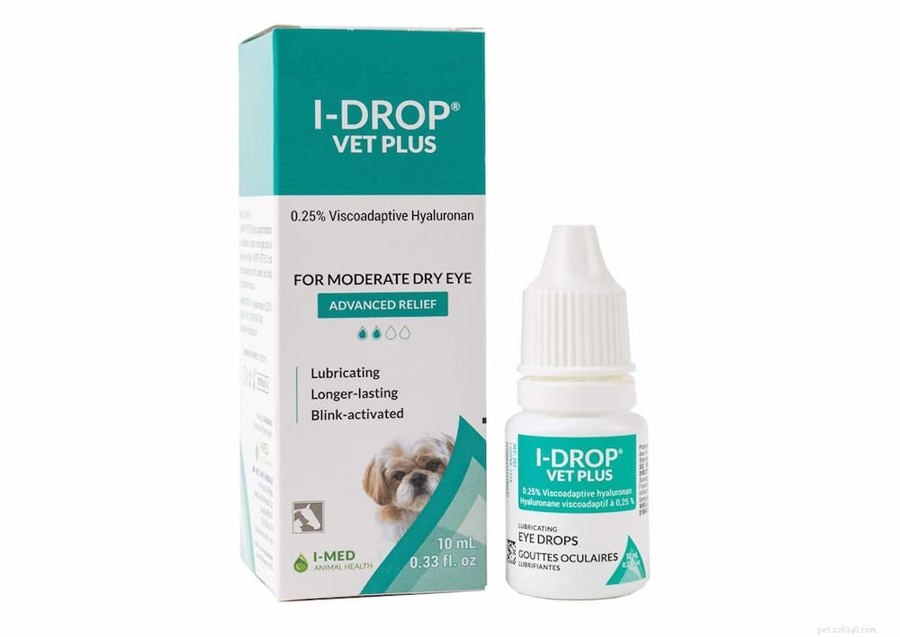 Understanding Dog Eye Discharge: Causes, Prevention, and Care