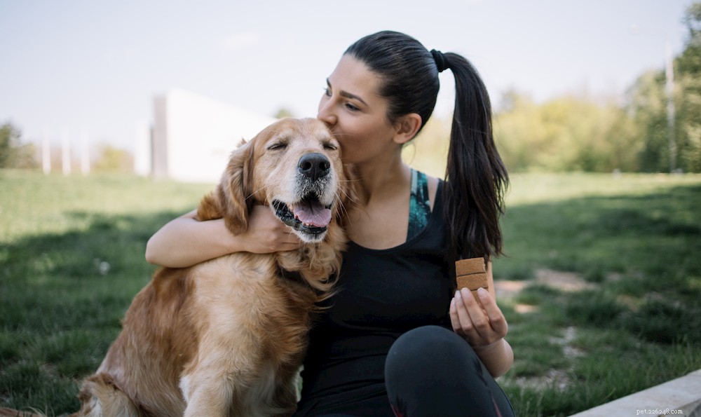 Top 10 Dog Breeds Most Susceptible to Hip Dysplasia