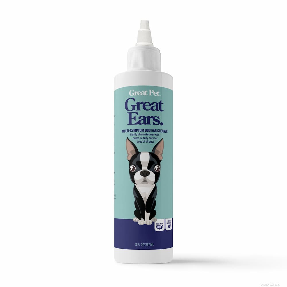 Top 7 Proven Strategies to Treat and Prevent Yeast Infections in Dogs