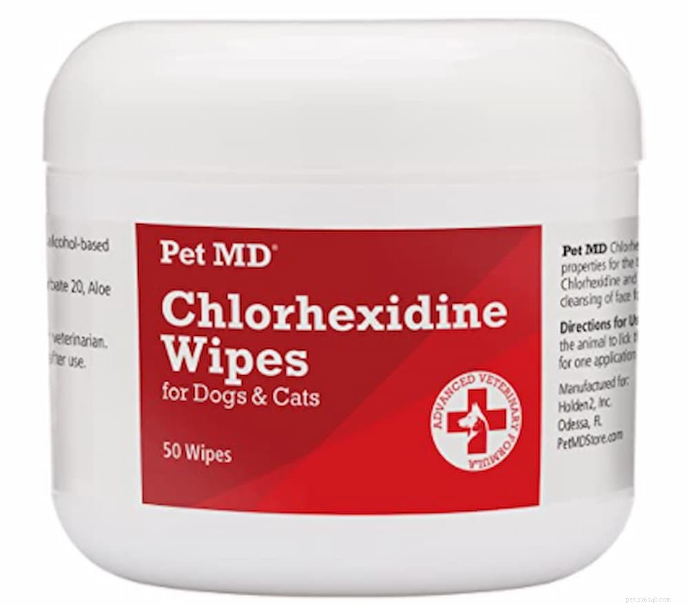 Top 7 Proven Strategies to Treat and Prevent Yeast Infections in Dogs