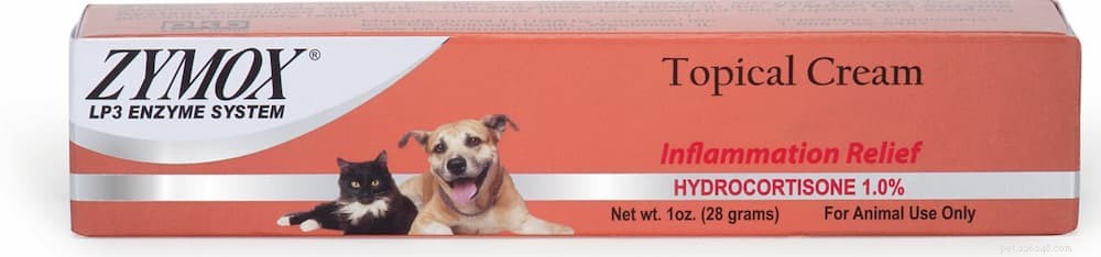 Top 7 Proven Strategies to Treat and Prevent Yeast Infections in Dogs