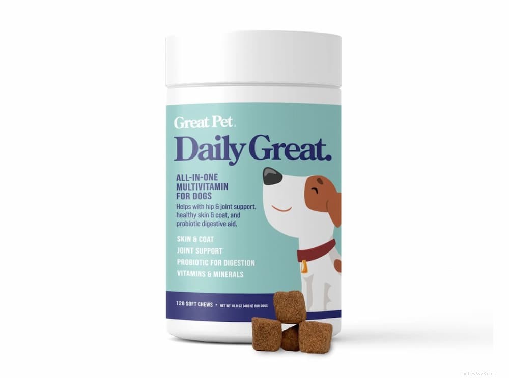 Top 7 Proven Strategies to Treat and Prevent Yeast Infections in Dogs