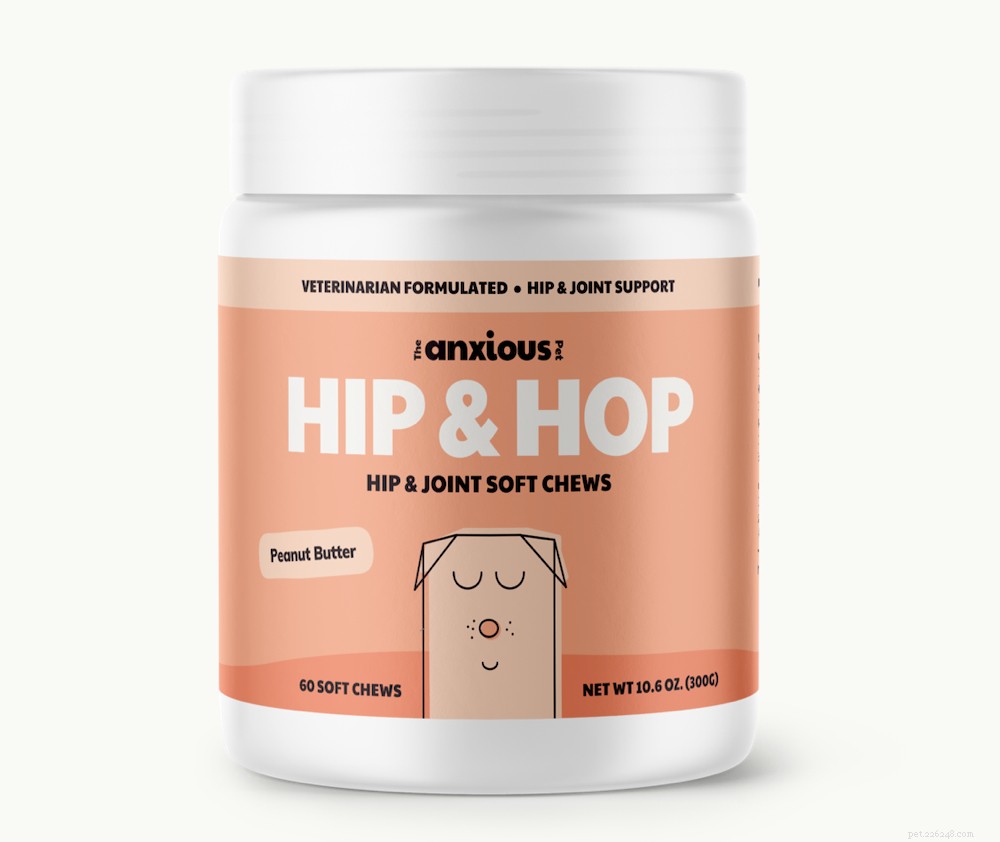 5 Common Hip Problems in Dogs – Causes, Symptoms, and Treatment