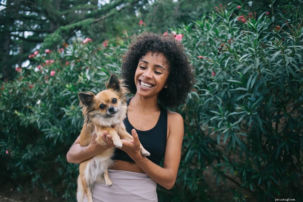 The Complete Guide to Dog Vision: How They See the World