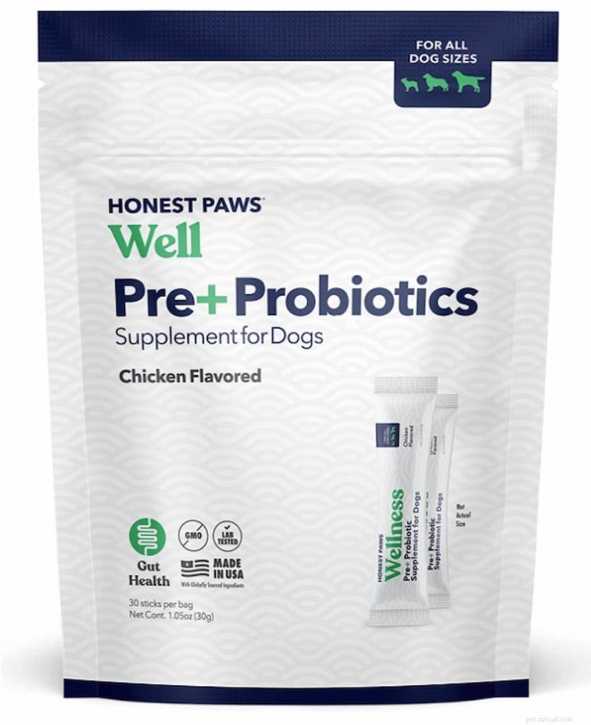 Understanding Stress Colitis in Dogs: Causes, Symptoms & Treatment