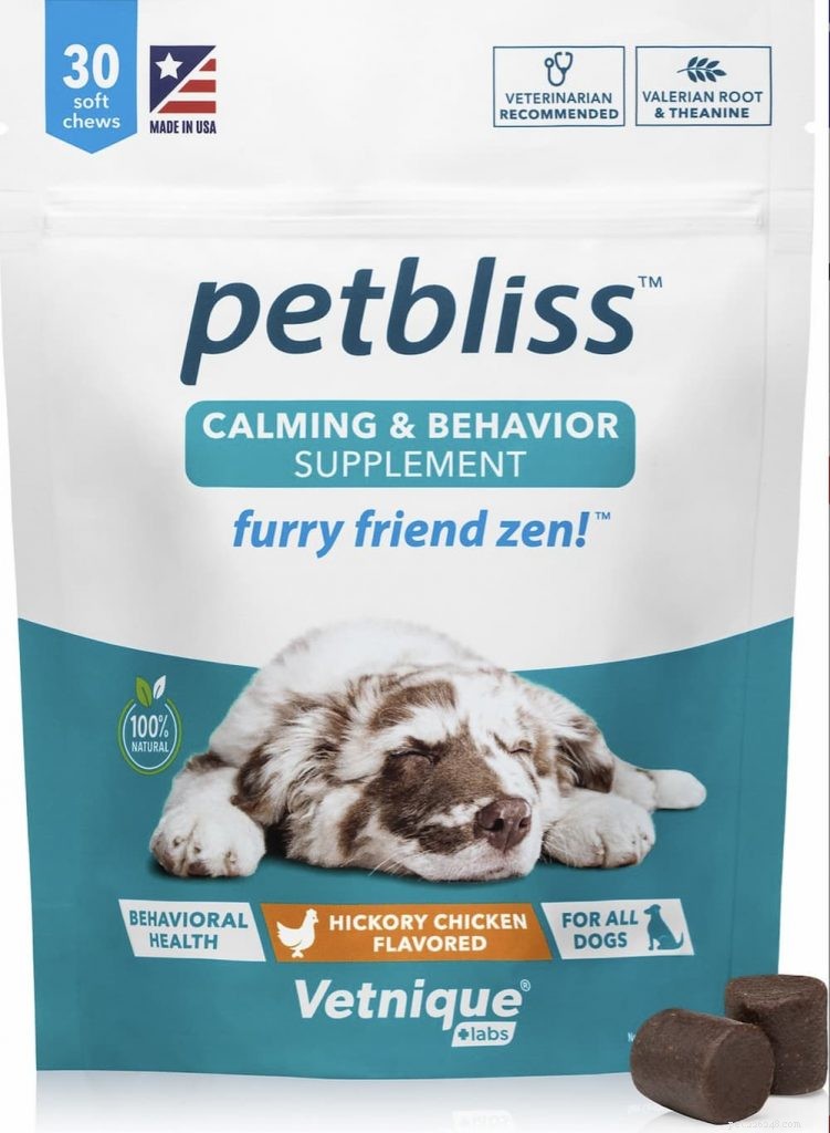 Understanding Stress Colitis in Dogs: Causes, Symptoms & Treatment
