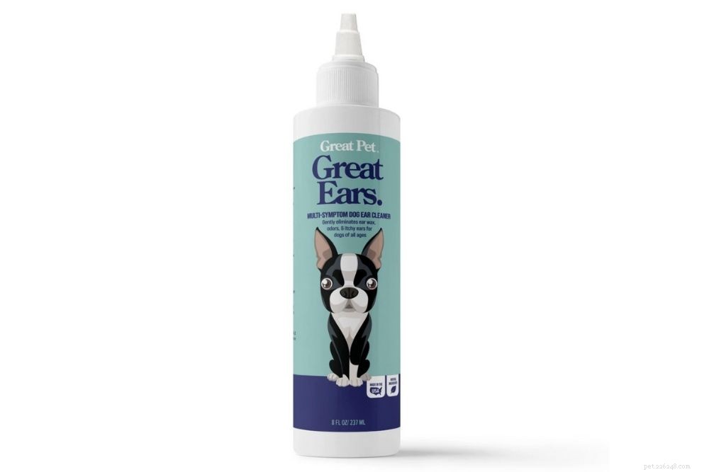 Dog Ear Infection: Causes, Symptoms & Quick Vet Treatment