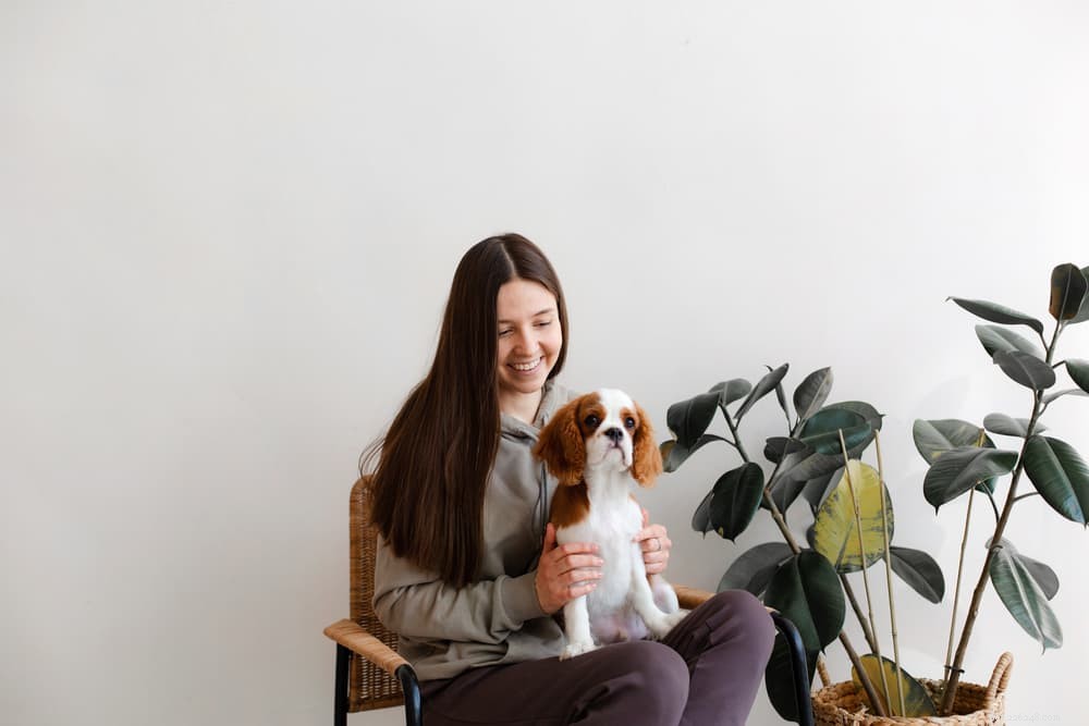 Dog Allergy Shots: Are They Essential for Your Pet?