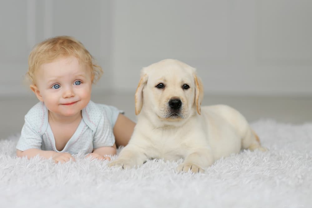 How Long Do Dogs Grow? Key Milestones & Breed Factors Explained