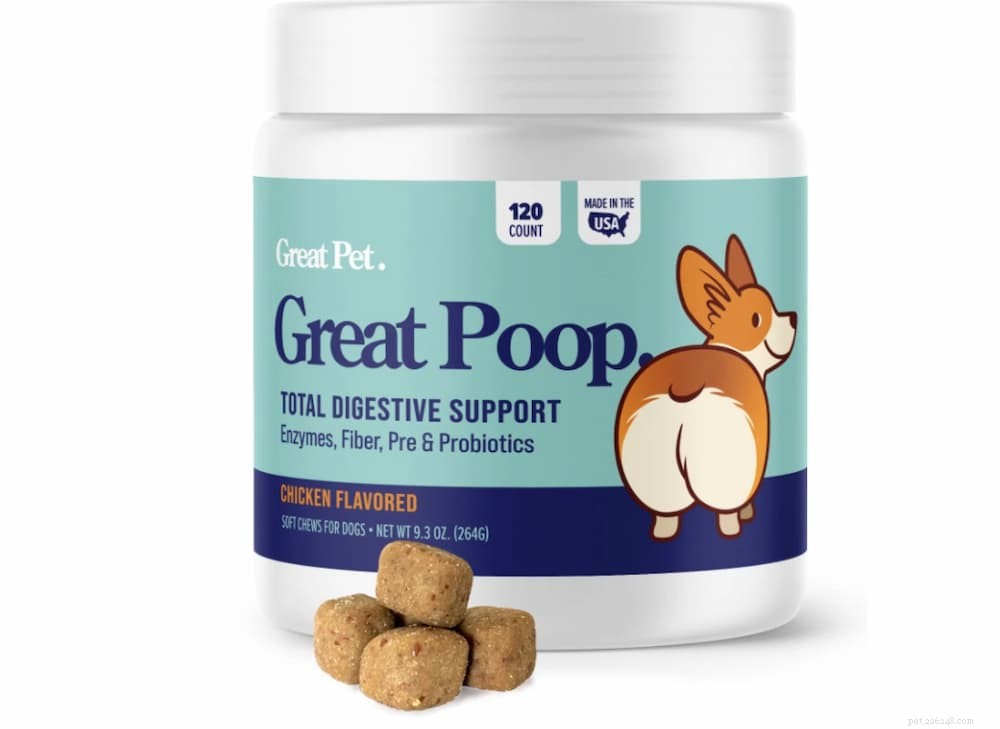 Understanding Soft Dog Poop: Causes, Symptoms, and Effective Solutions
