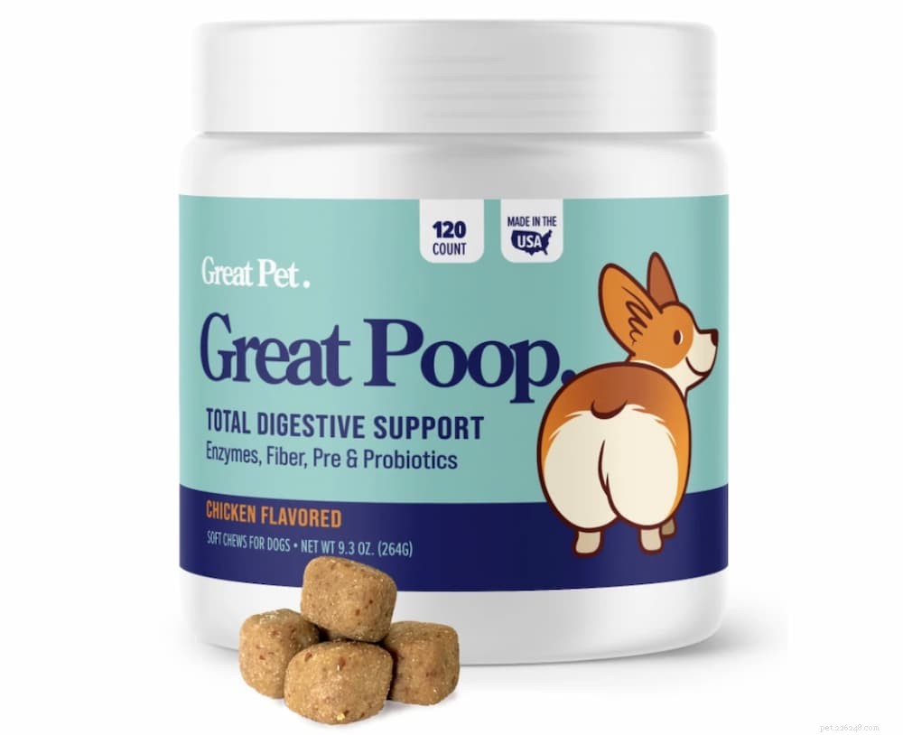 How Long Can a Dog Go Without Pooping? Health Insights & Signs to Watch
