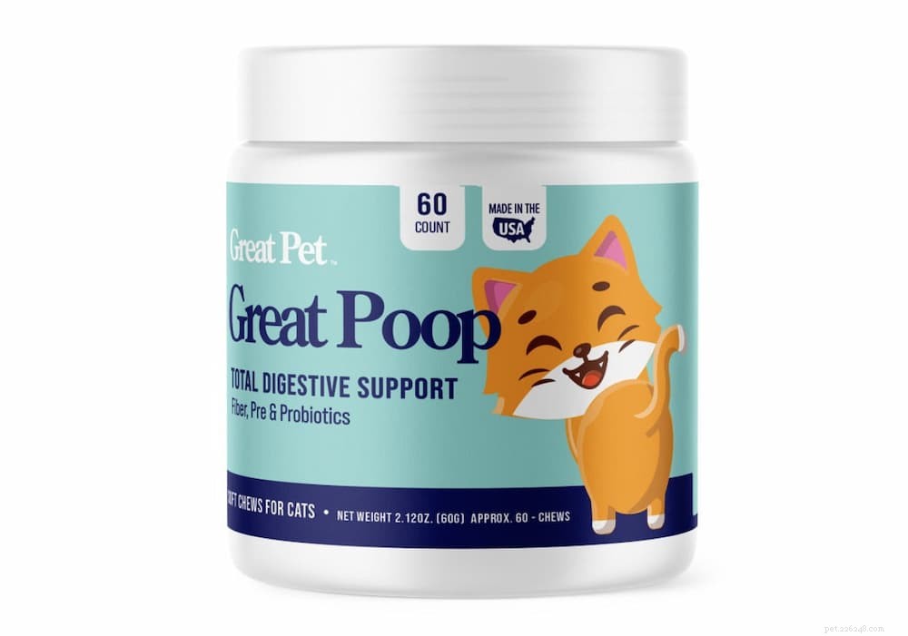 Understanding and Treating Cat Constipation: Causes, Symptoms, and Care