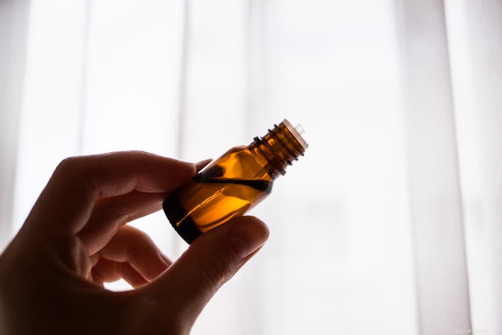 Expert Guide: How to Safely Administer Liquid Medicine to Your Cat