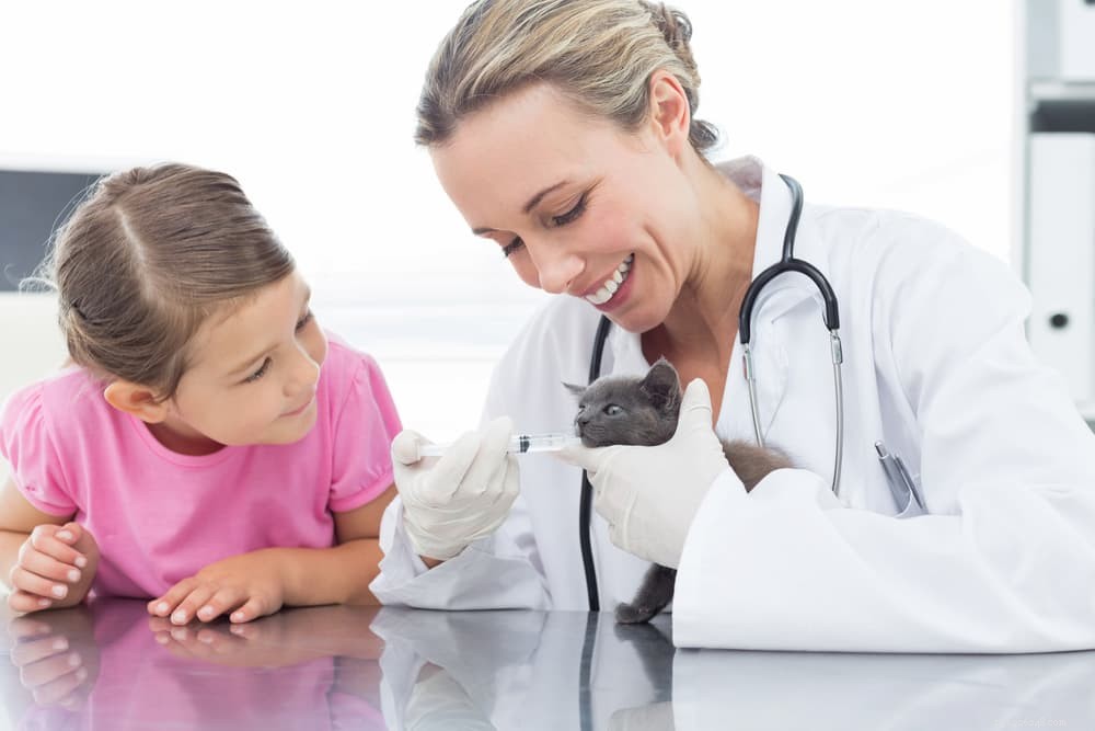 Expert Guide: How to Safely Administer Liquid Medicine to Your Cat