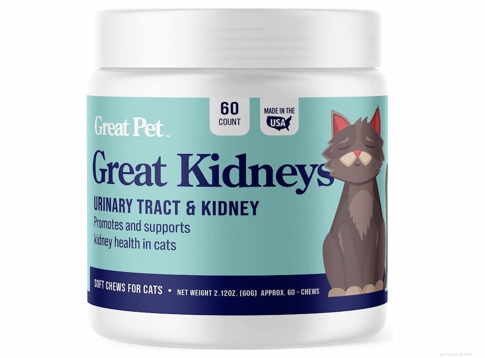 Recognizing and Preventing Kidney Disease in Cats: A Guide for Pet Parents
