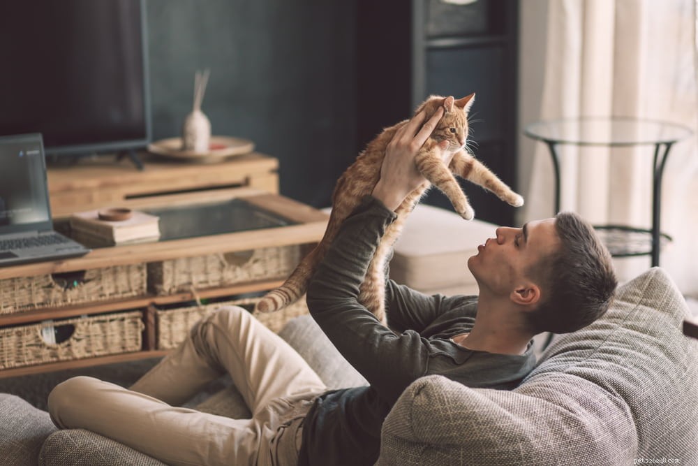 Understanding Feline Immunodeficiency Virus (FIV) in Cats: Causes, Symptoms, and Care
