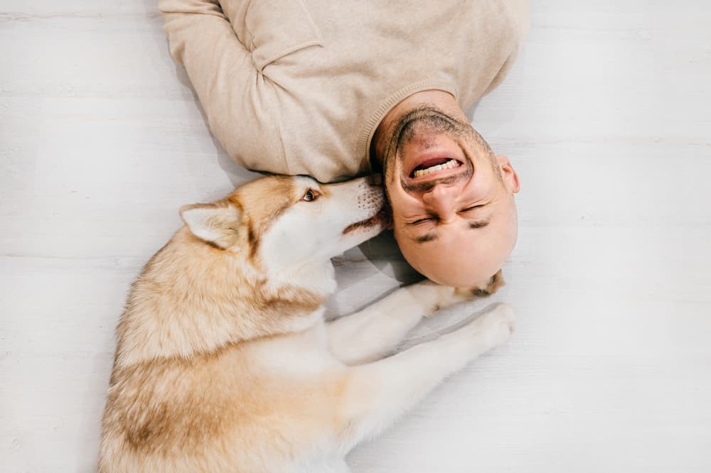 9 Expert-Backed Ways to Strengthen Your Bond With Your Dog at Home