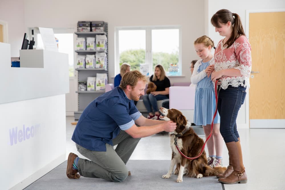Understanding Why Dogs Fear the Vet and How to Reduce Their Anxiety