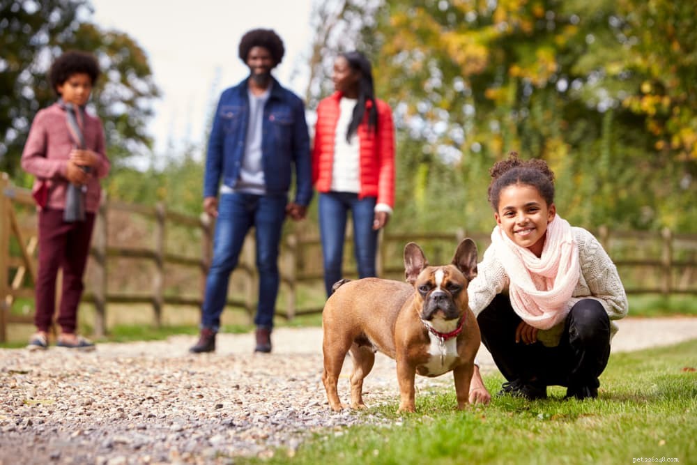 16 Proven Signs Your Dog Is Experiencing Stress