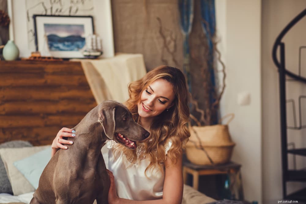 Do Dogs Truly Enjoy Hugs? Expert Insights and Misconceptions