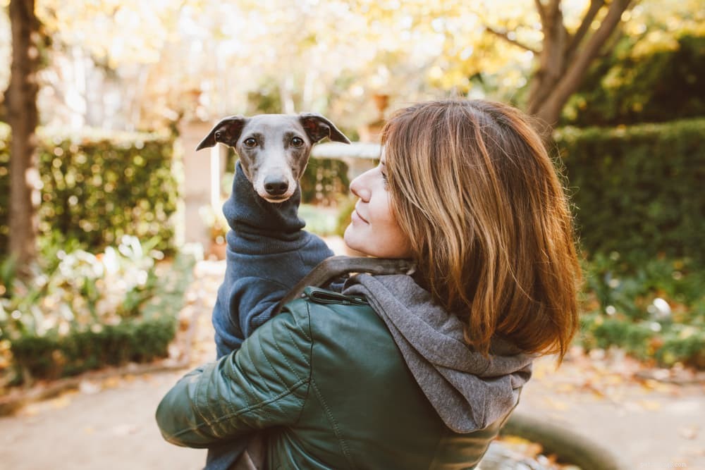 What Causes Dogs to Walk in Circles? Expert Guide to Safe vs. Medical Reasons