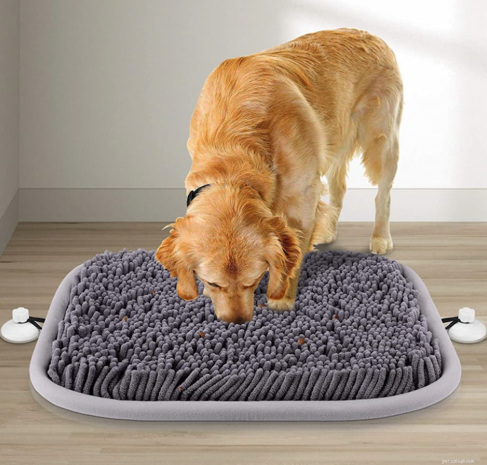 9 Clear Signs Your Dog Is Experiencing Loneliness