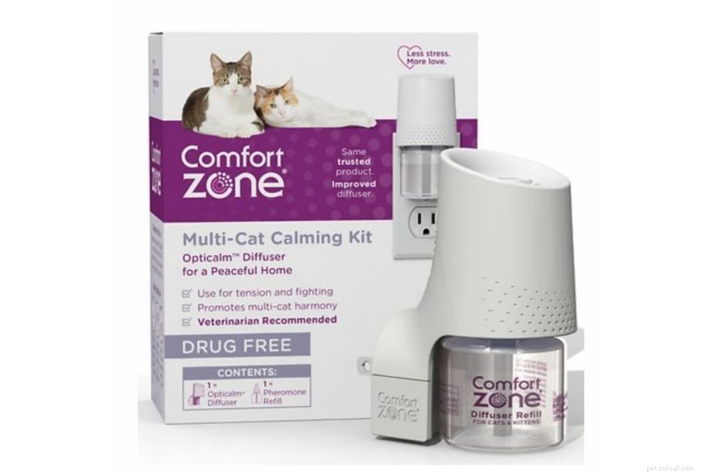 Cat Hissing Explained: Causes, Meaning, and How to Respond