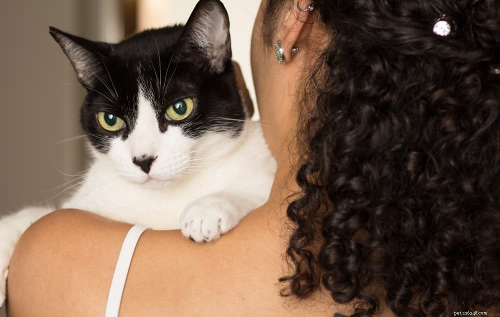 Understanding Cat Trilling: Why Cats Trill and What It Reveals