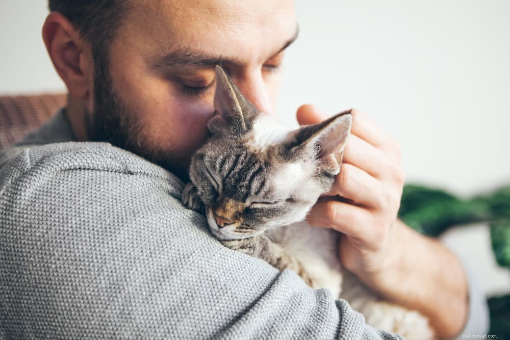 Master the Art of Cat Handling: A Proven Step‑by‑Step Guide