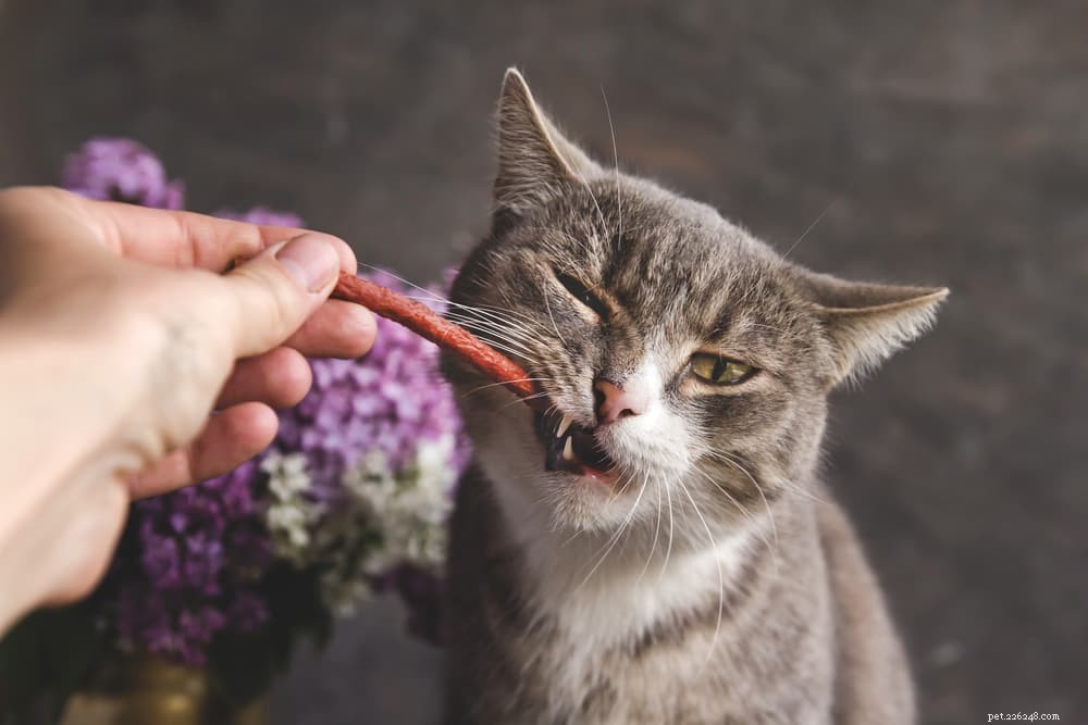 Master the Art of Cat Handling: A Proven Step‑by‑Step Guide
