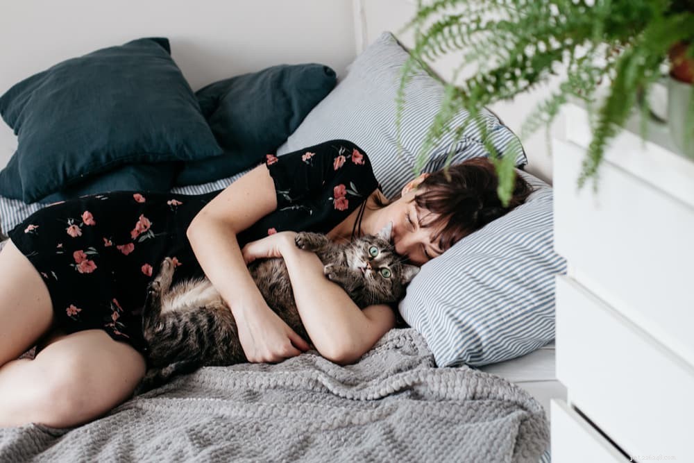 Why Does Your Cat Follow You? 5 Surprising Reasons Explained