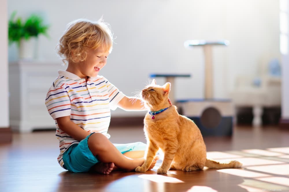 10 Expert Tips to Strengthen the Bond Between Your Child and Their Cat