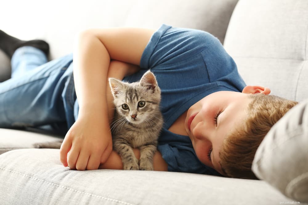 10 Expert Tips to Strengthen the Bond Between Your Child and Their Cat