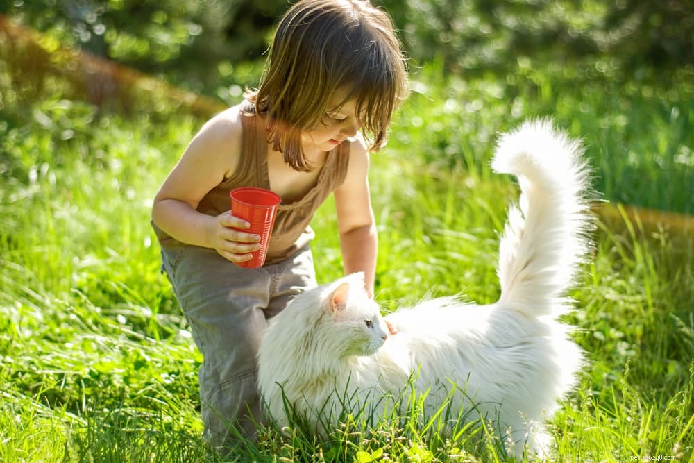 10 Expert Tips to Strengthen the Bond Between Your Child and Their Cat