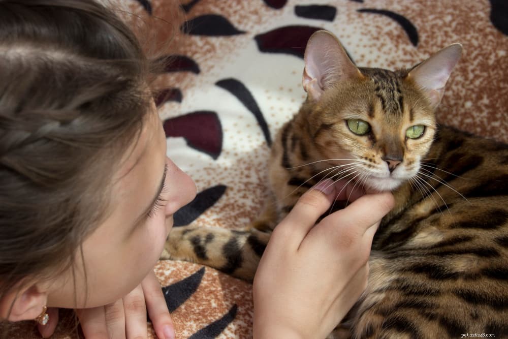 10 Expert Tips to Strengthen the Bond Between Your Child and Their Cat