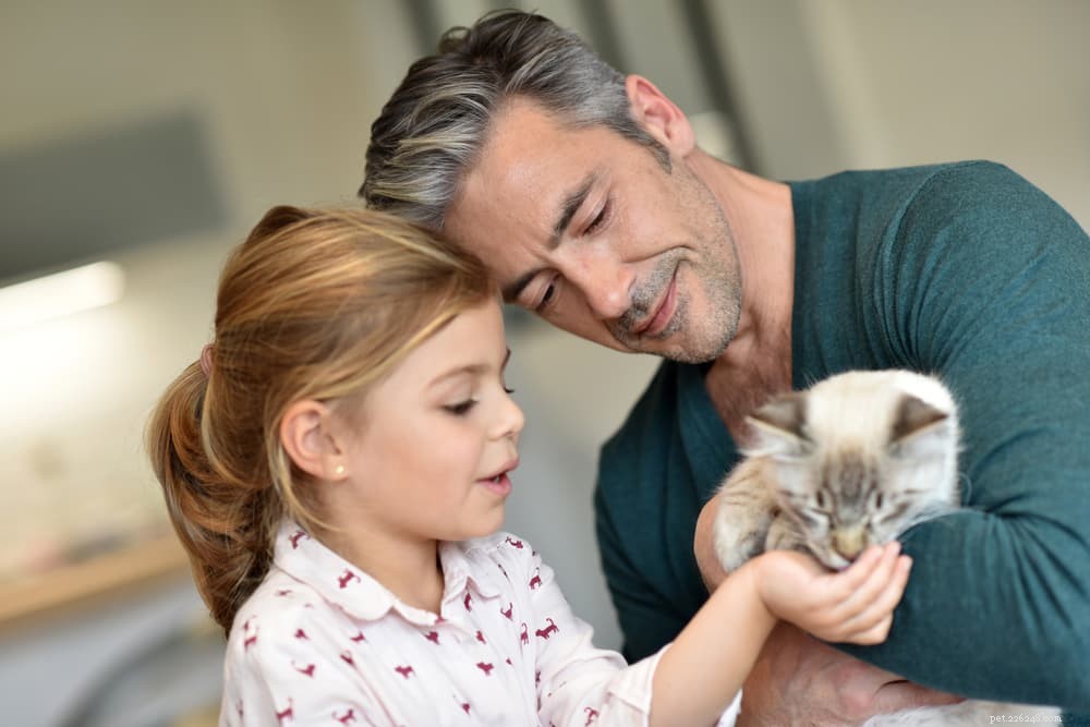 10 Expert Tips to Strengthen the Bond Between Your Child and Their Cat