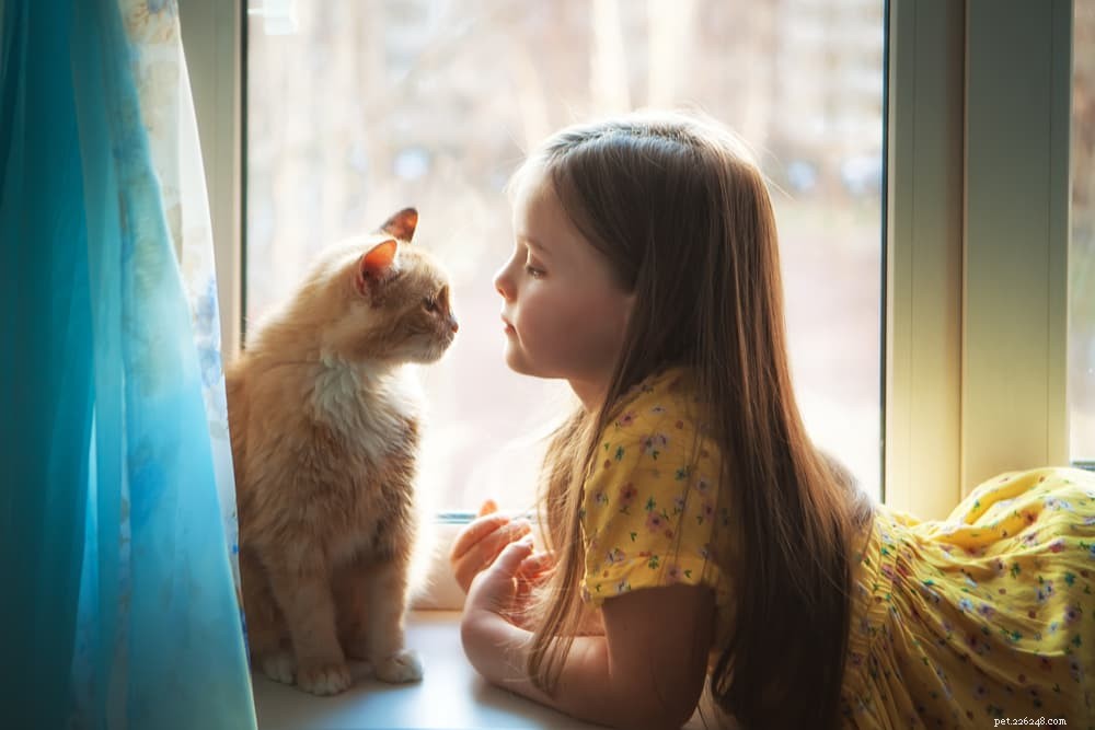 10 Expert Tips to Strengthen the Bond Between Your Child and Their Cat
