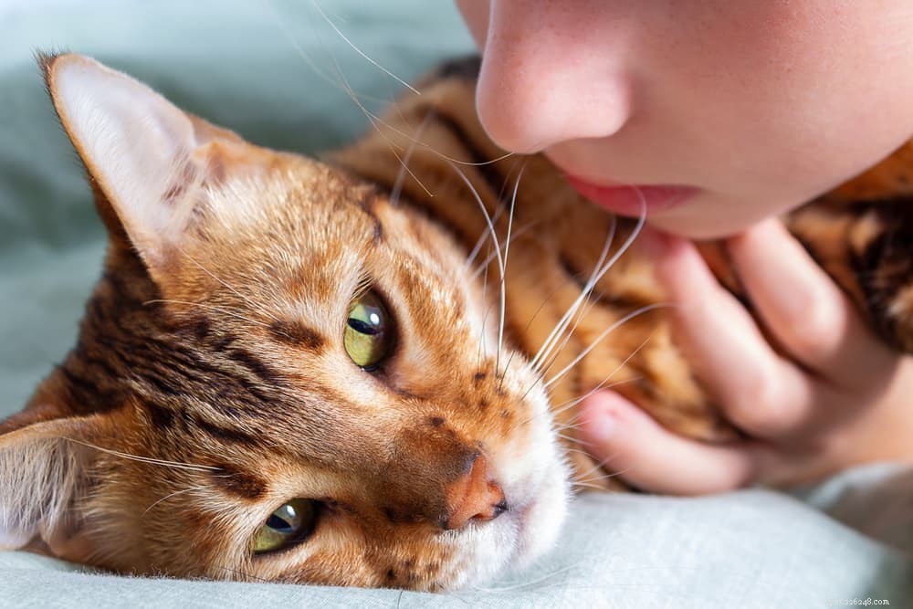10 Expert Tips to Strengthen the Bond Between Your Child and Their Cat