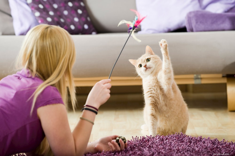 Understanding Why Cats Bite: Causes, Signs, and Prevention