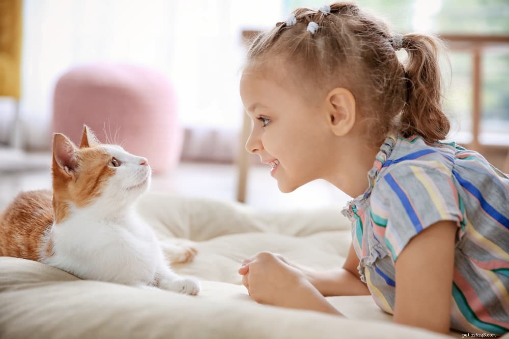 Inside the Cat Brain: 11 Astonishing Facts You Didn t Know