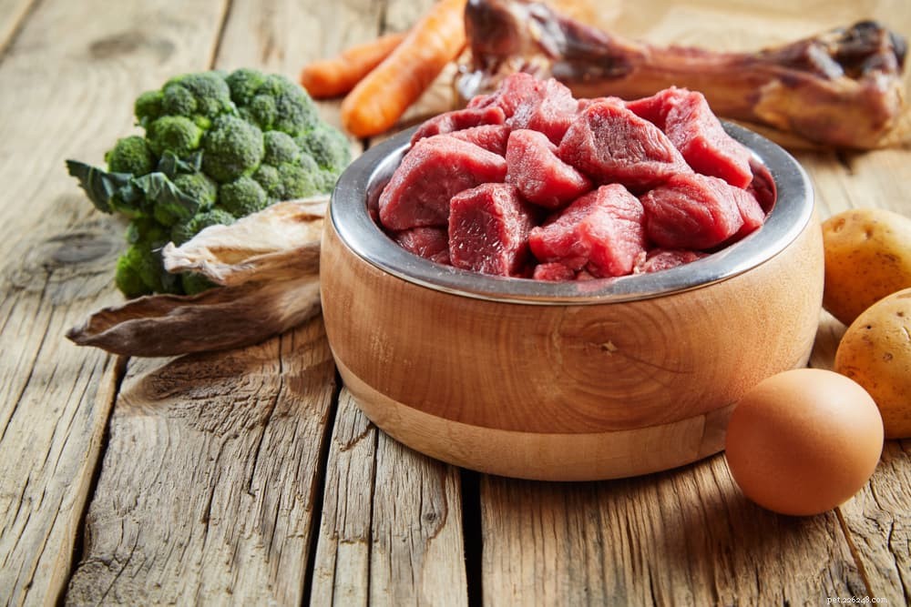 Expert Guide to Switching Your Dog’s Food Safely & Effectively