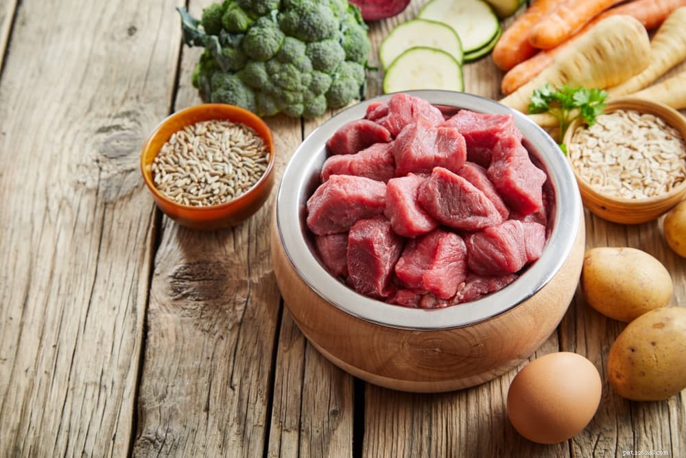 The Ultimate Guide to Protein in Your Dog’s Diet