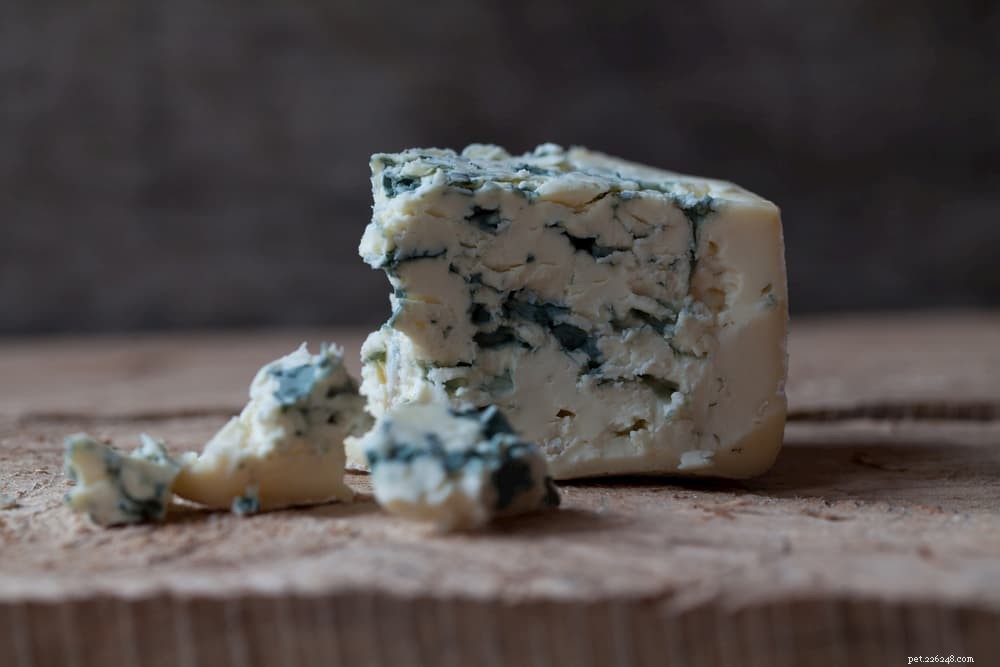 Is Cheese Safe for Dogs? A Guide to Treating Your Pup Responsibly
