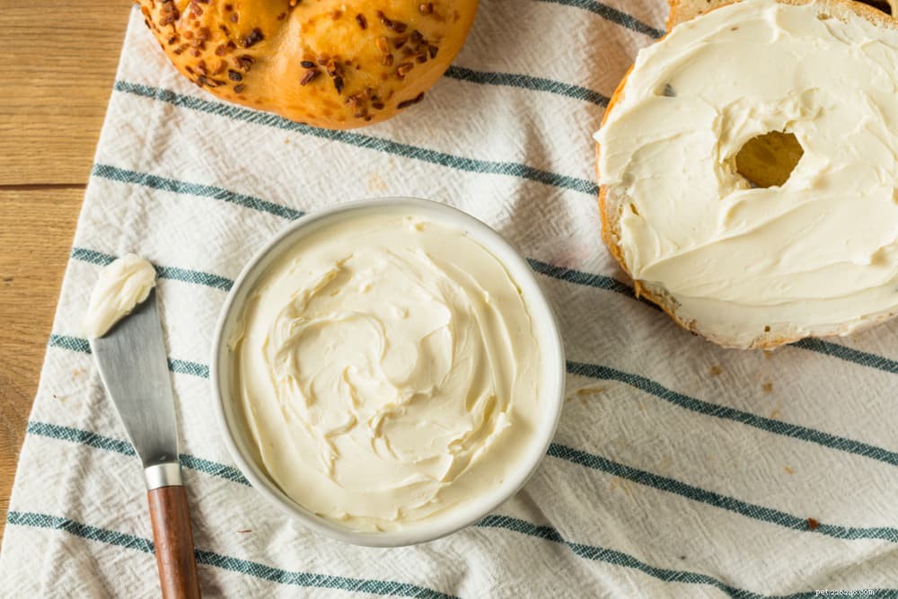 Is Cheese Safe for Dogs? A Guide to Treating Your Pup Responsibly