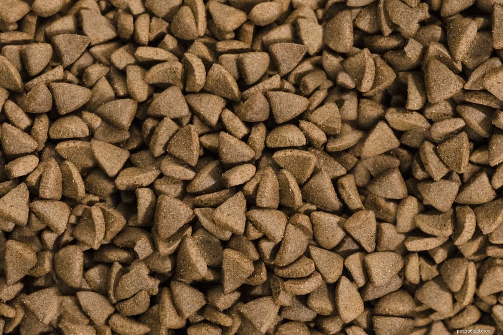 7 Key Dog Food Storage Mistakes to Avoid for Your Pet s Health