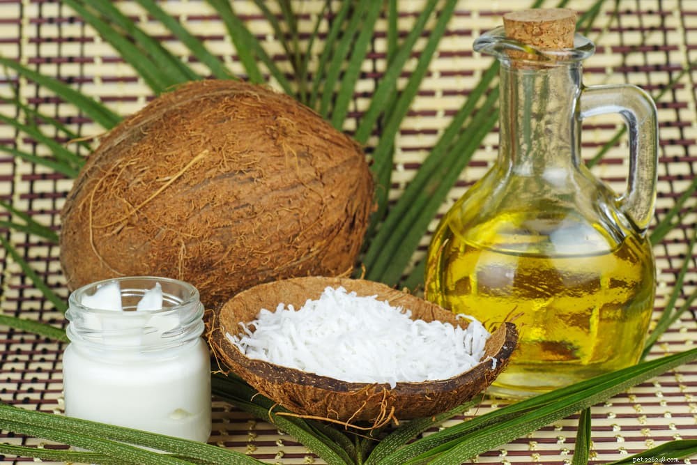 Is Olive Oil Safe for Dogs? Health Benefits & Risks Explained