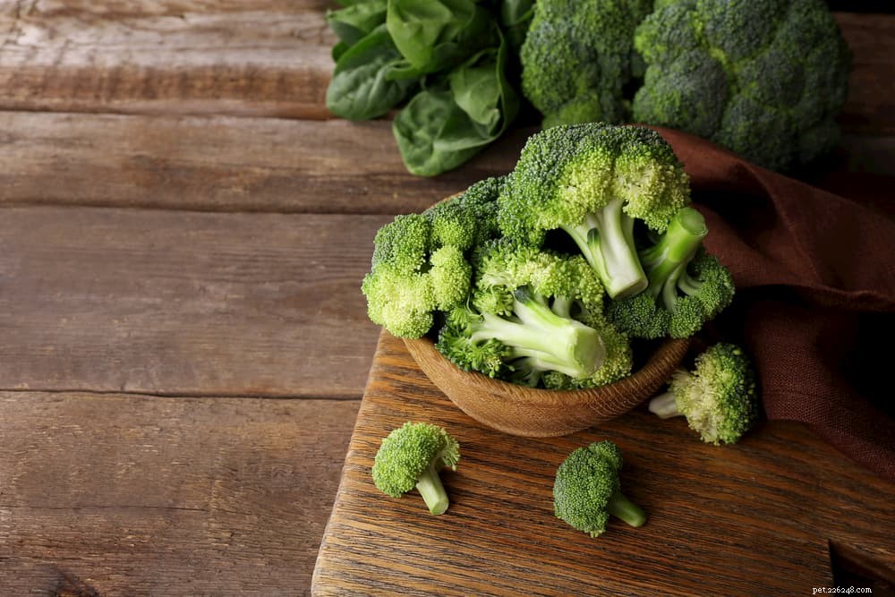 12 Safe and Nutritious Vegetables for Your Dog